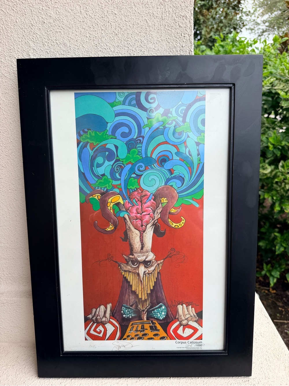 Sean Dietrich Vincent Gordon Corpus Callosum Signed Print 174/1000 2012 Framed